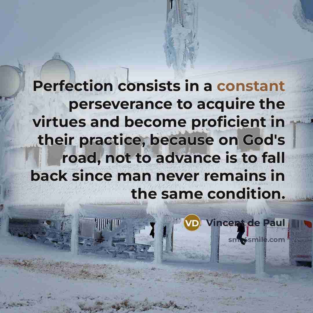 “Perfection consists in a constant perseverance to acquire the virtues…” quote by Vincent de Paul