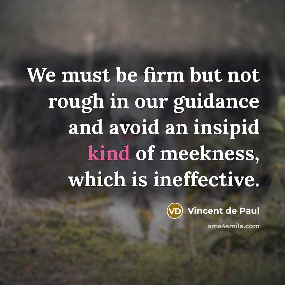“We must be firm but not rough in our guidance…” quote by Vincent de Paul