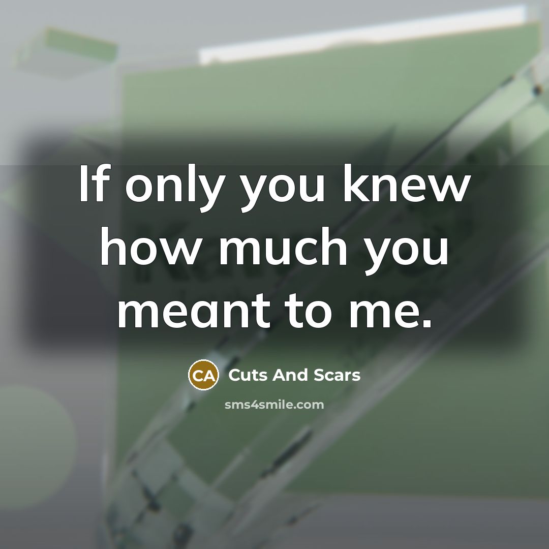 “If only you knew how much you meant to me.…” quote by Cuts And Scars