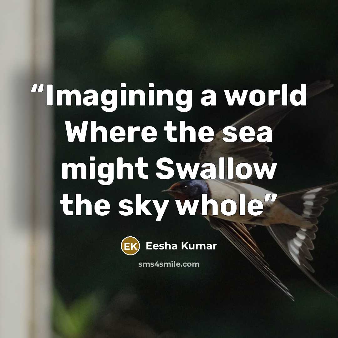 “Imagining a world Where the sea might Swallow the sky whole” quote by Eesha Kumar