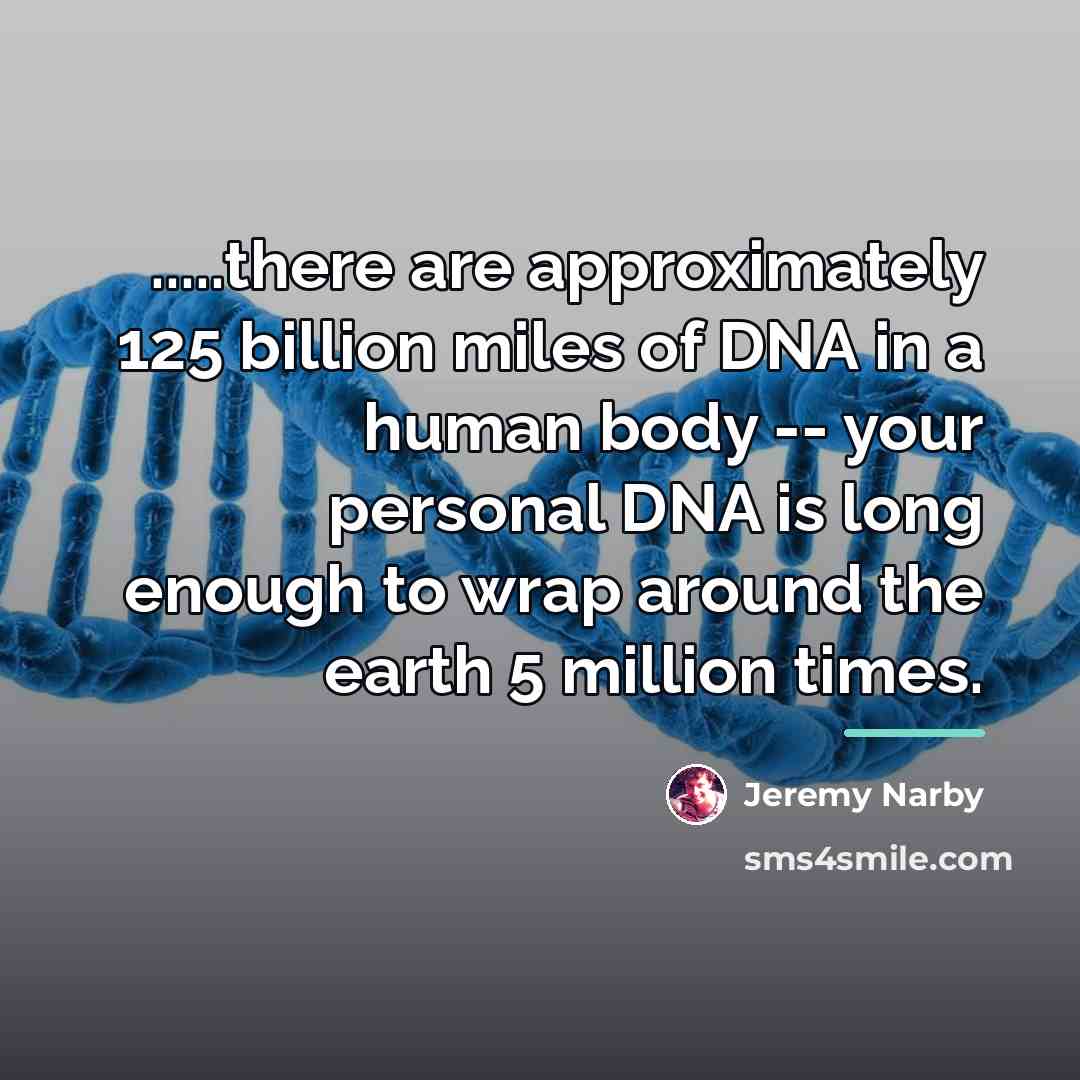“.....there are approximately 125 billion miles of DNA in a…” quote by Jeremy Narby