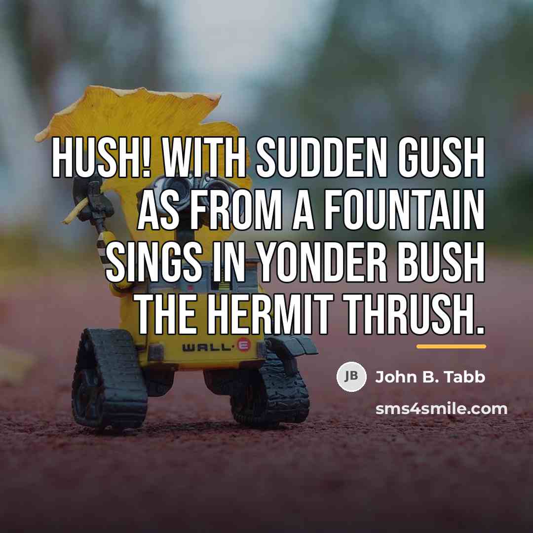 “Hush! With sudden gush As from a fountain sings in…” quote by John B. Tabb
