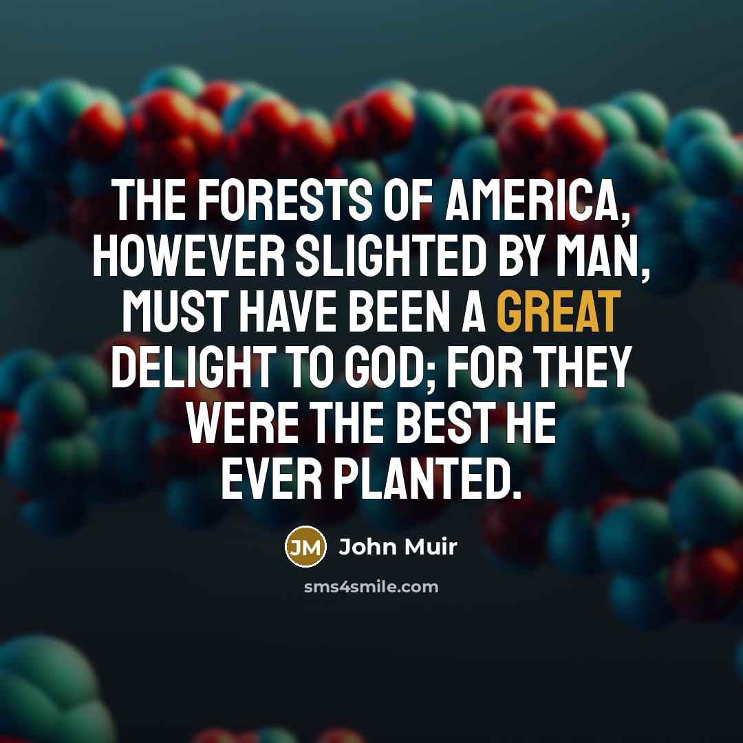 “The forests of America, however slighted by man, must have…” quote by John Muir
