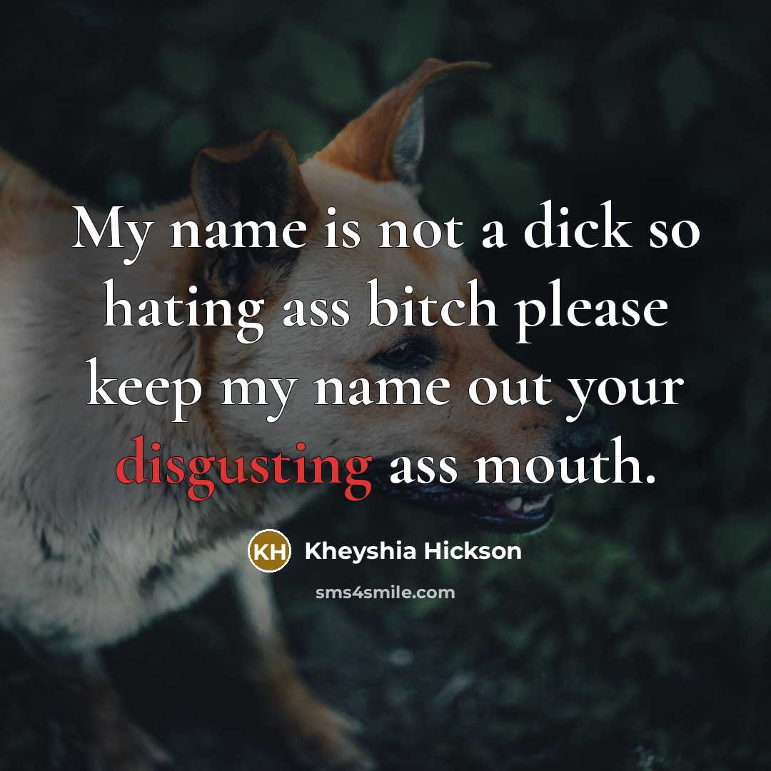 “My name is not a dick so hating ass bitch please keep my name out your disgusting ass mouth.” quote by Kheyshia Hickson