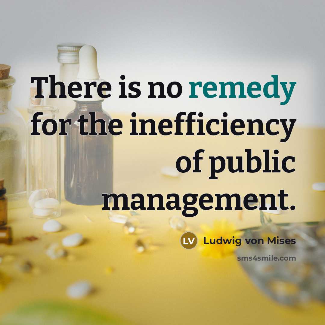 “There is no remedy for the inefficiency of public management.…” quote by Ludwig von Mises