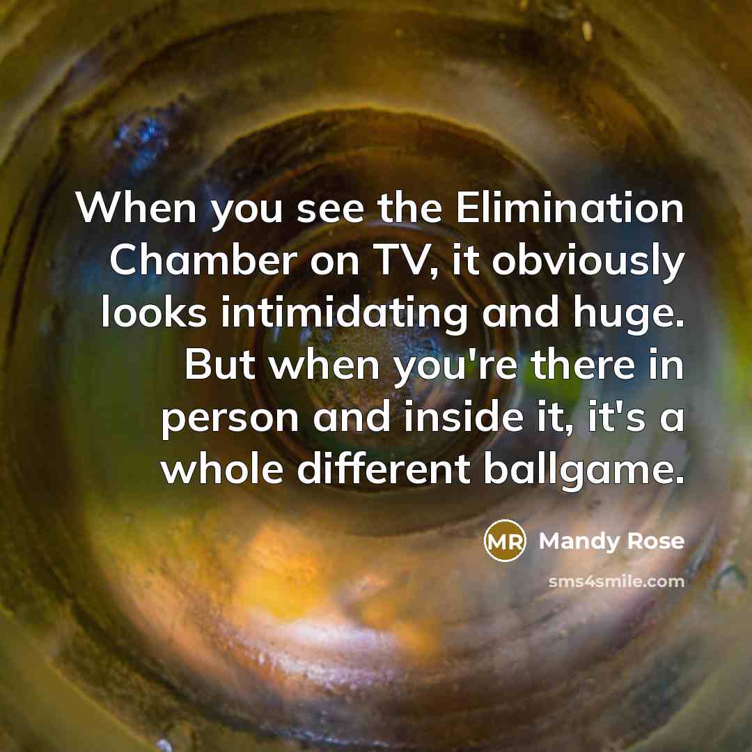 “When you see the Elimination Chamber on TV, it obviously…” quote by Mandy Rose