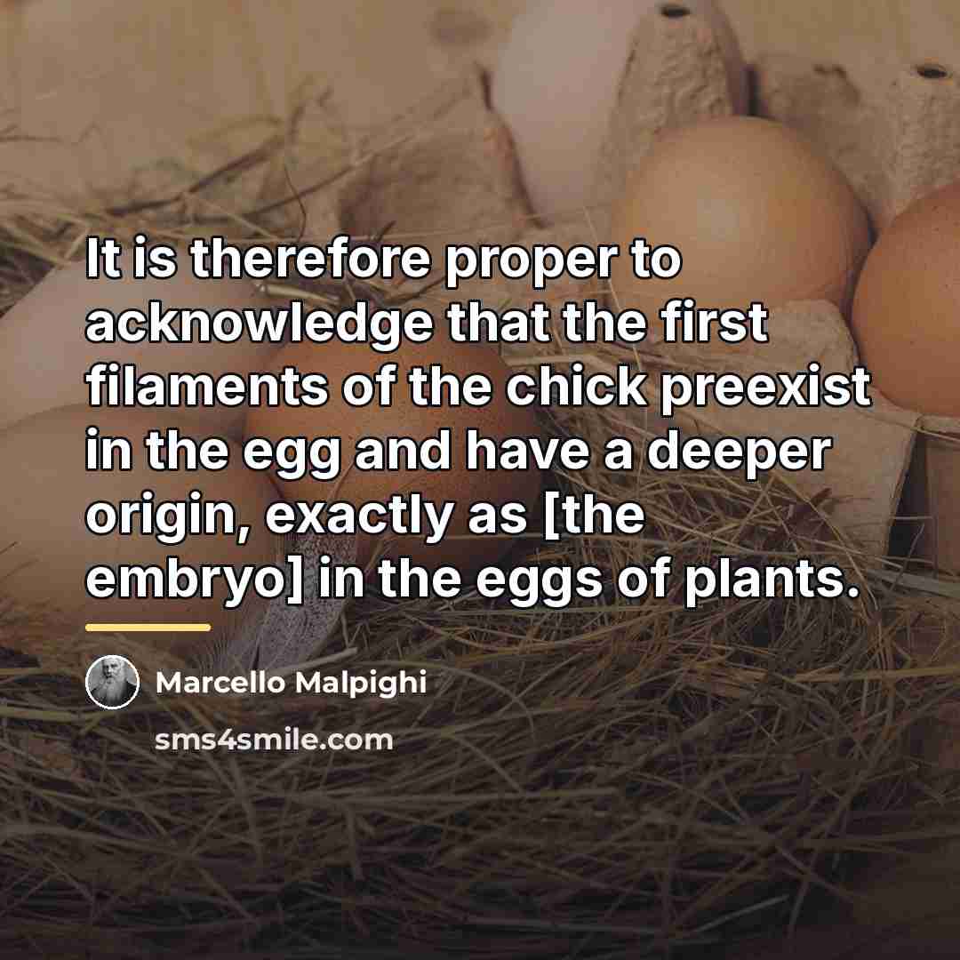 “It is therefore proper to acknowledge that the first filaments…” quote by Marcello Malpighi