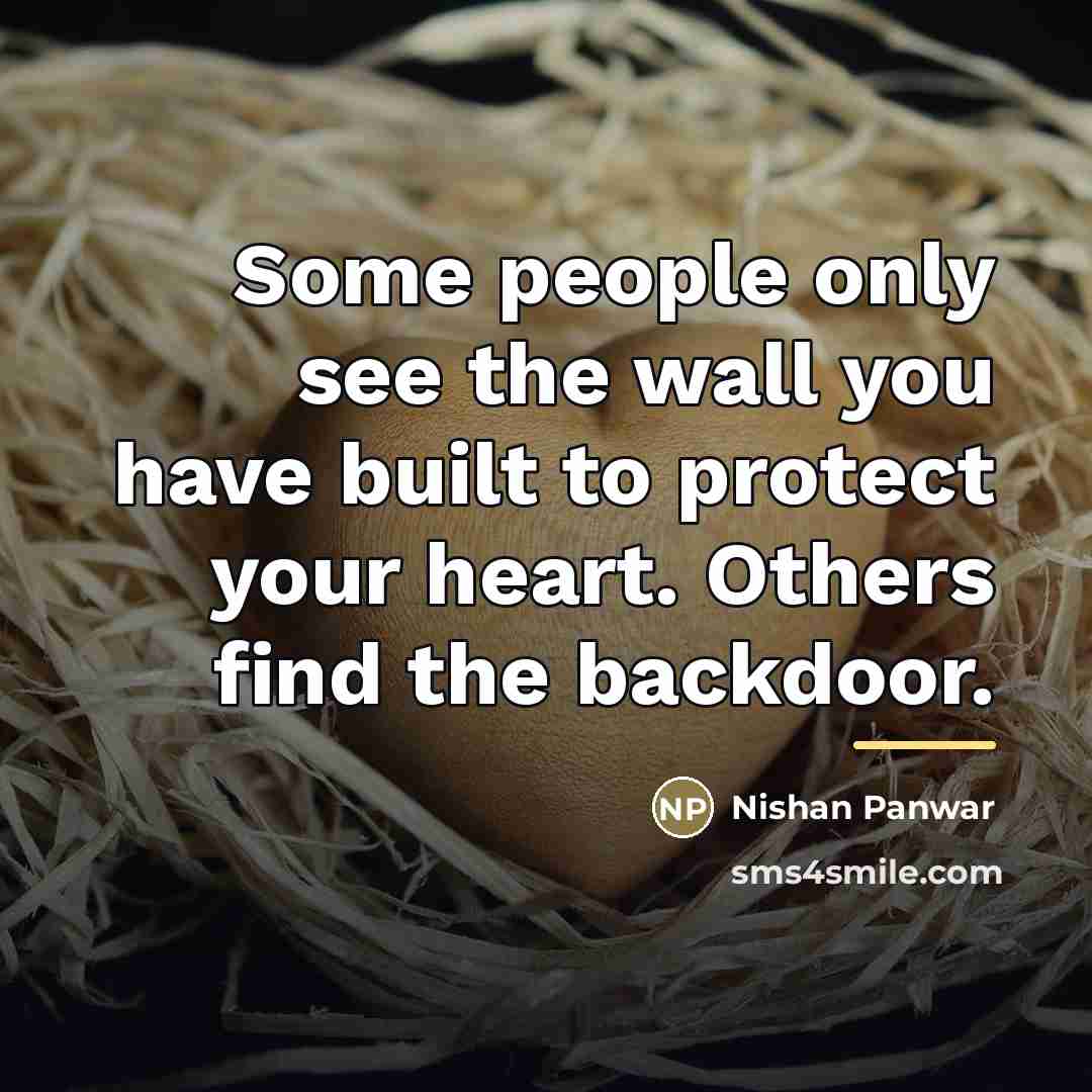 “Some people only see the wall you have built to…” quote by Nishan Panwar