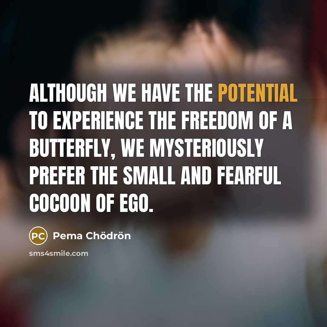 “Although we have the potential to experience the freedom of…” quote by Pema Chodron