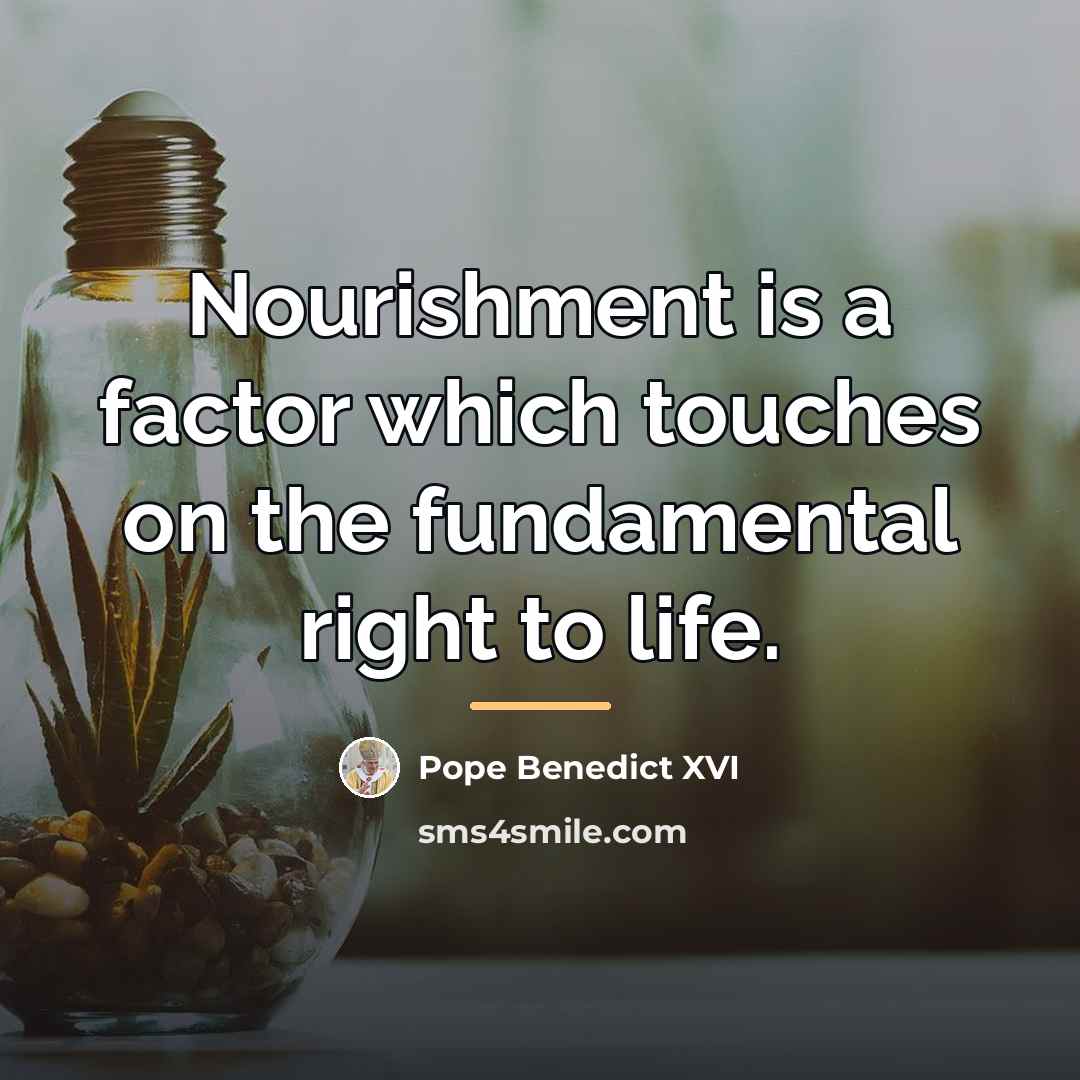“Nourishment is a factor which touches on the fundamental right…” quote by Pope Benedict XVI