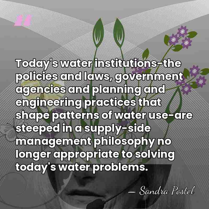 Today's water institutions-the policies and laws, government agencies and planning and engineering&hellip; - Sandra Postel