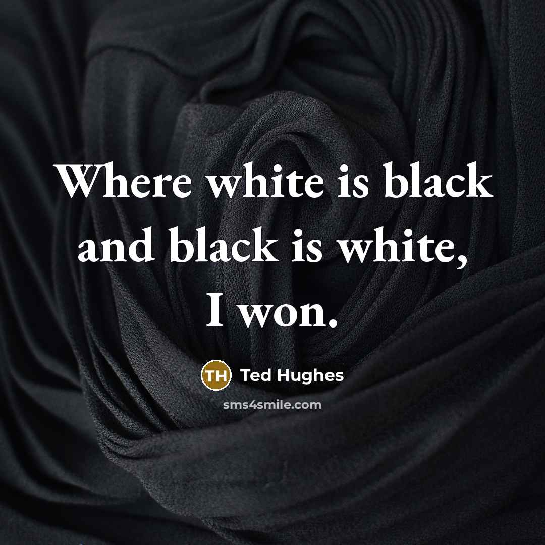 “Where white is black and black is white, I won.…” quote by Ted Hughes