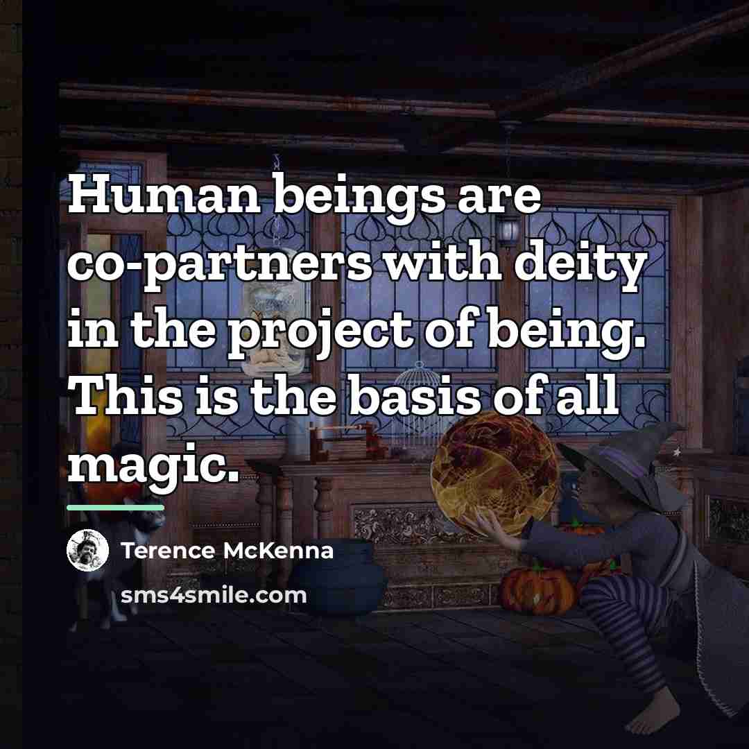 “Human beings are co-partners with deity in the project of…” quote by Terence McKenna