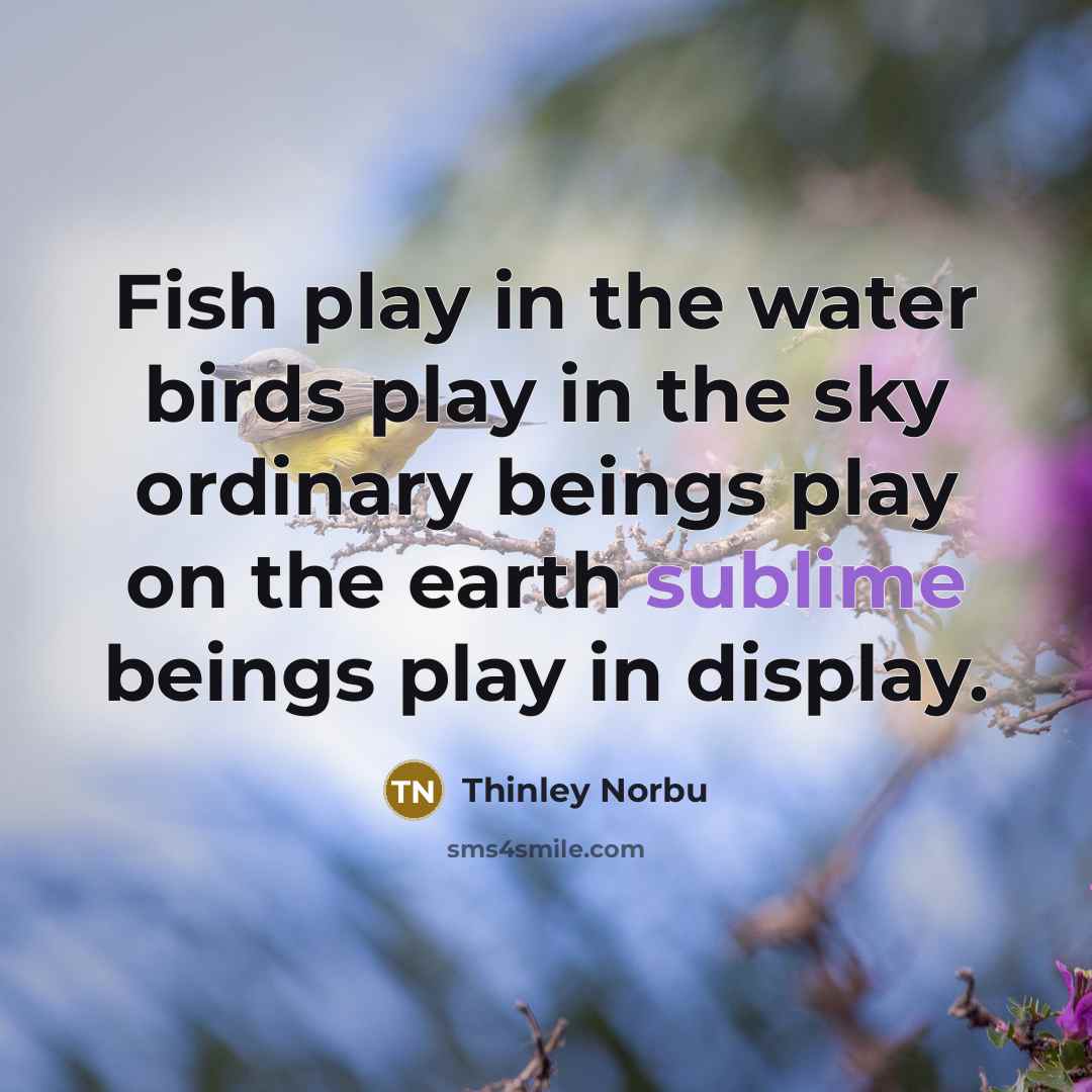 “Fish play in the water birds play in the sky…” quote by Thinley Norbu