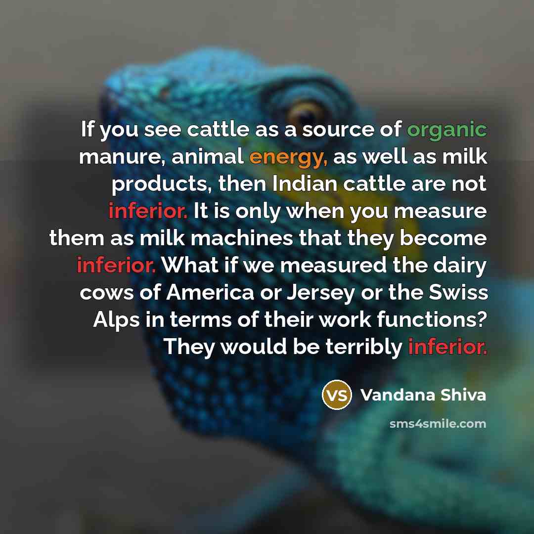 “If you see cattle as a source of organic manure,…” quote by Vandana Shiva