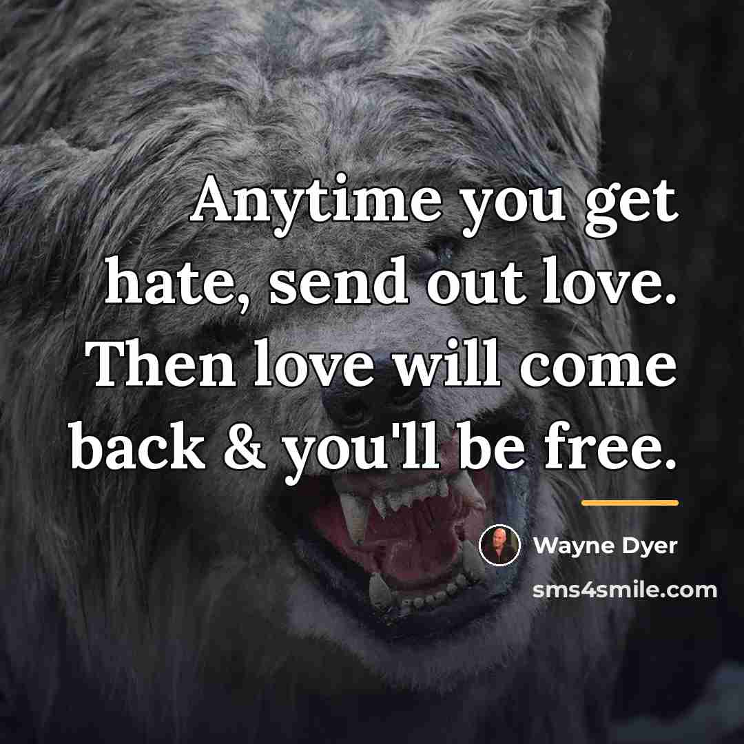 “Anytime you get hate, send out love. Then love will…” quote by Wayne Dyer