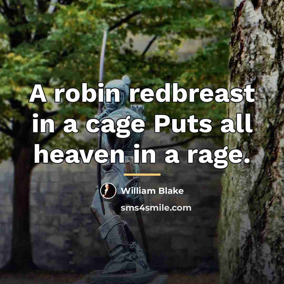 “A robin redbreast in a cage Puts all heaven in…” quote by William Blake