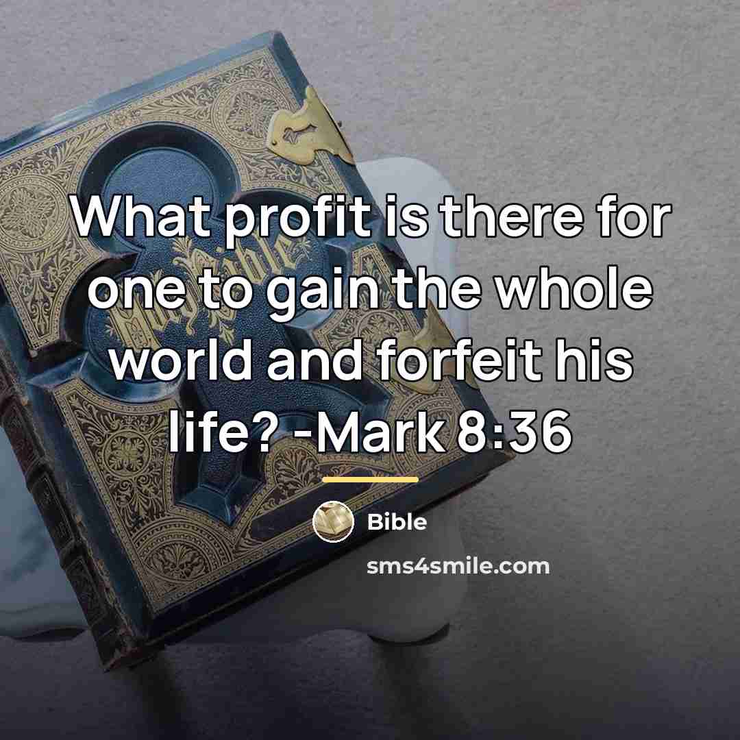 “What profit is there for one to gain the whole…” quote by Bible