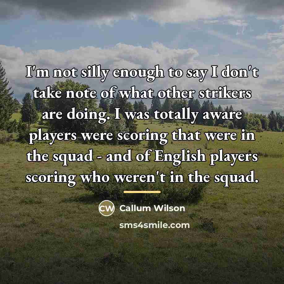 “I'm not silly enough to say I don't take note…” quote by Callum Wilson