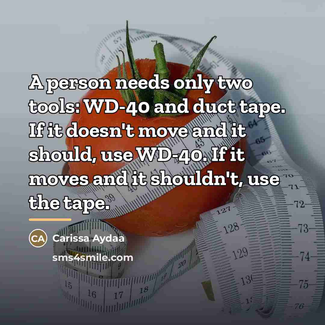 “A person needs only two tools: WD-40 and duct tape.…” quote by Carissa Aydaa
