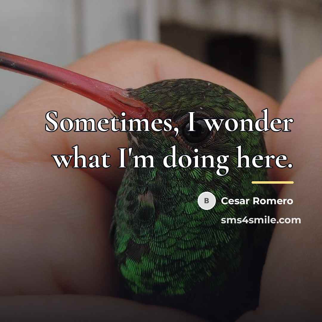 “Sometimes, I wonder what I'm doing here.…” quote by Cesar Romero
