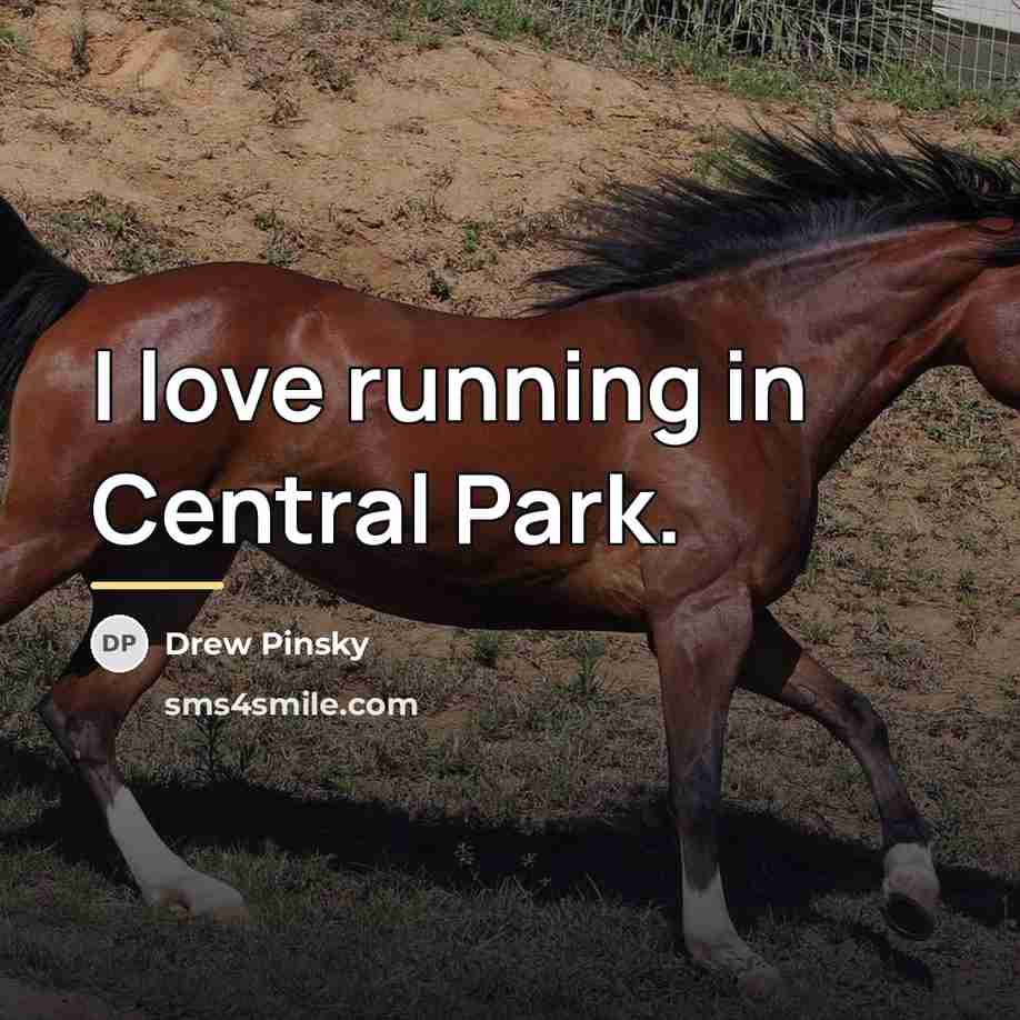 “I love running in Central Park.…” quote by Drew Pinsky