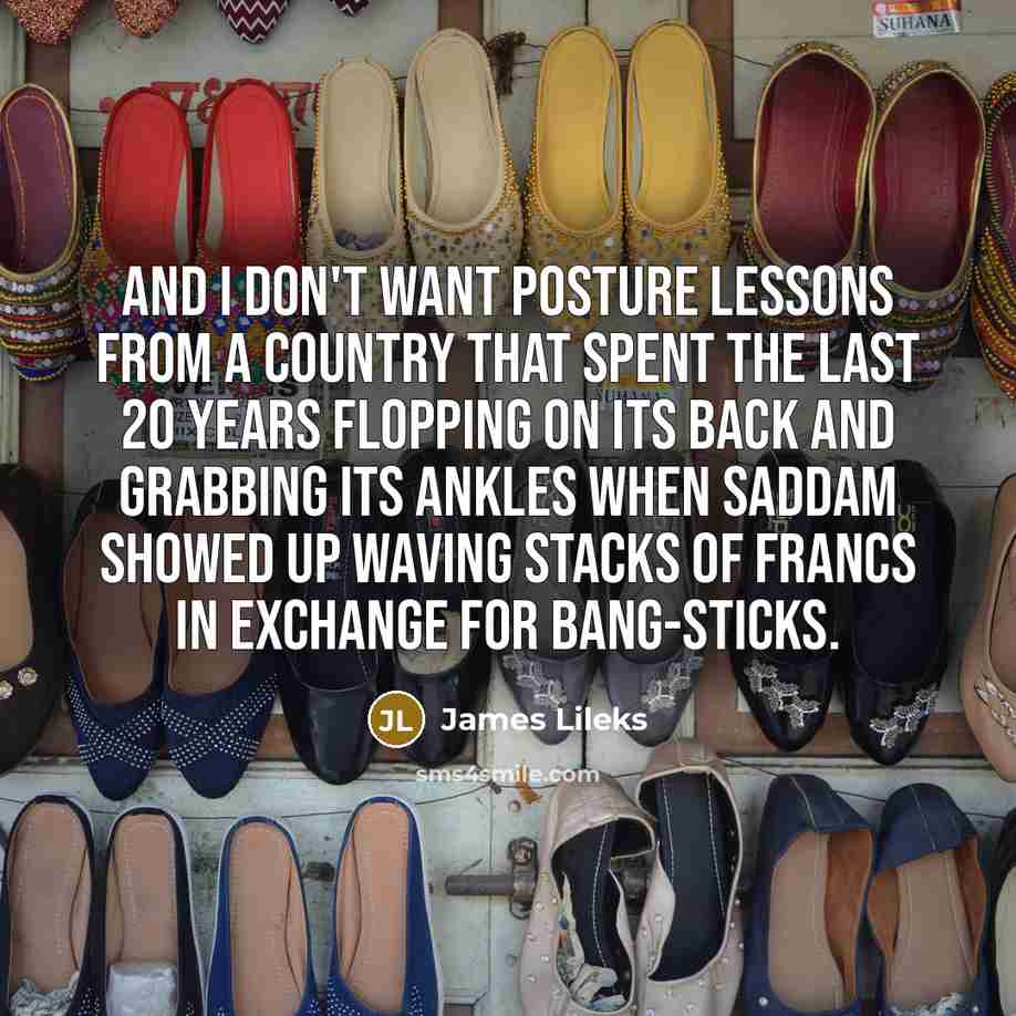 “And I don't want posture lessons from a country that…” quote by James Lileks