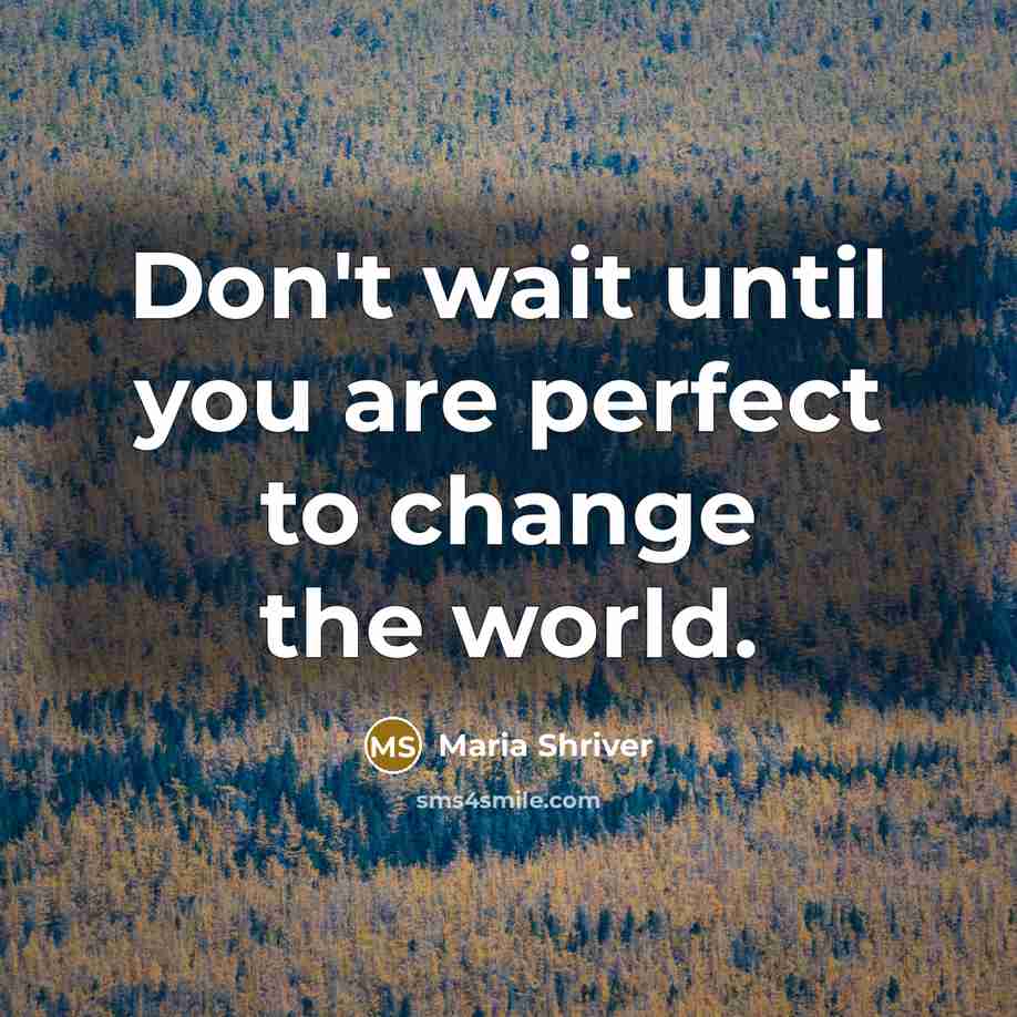 “Don't wait until you are perfect to change the world.…” quote by Maria Shriver
