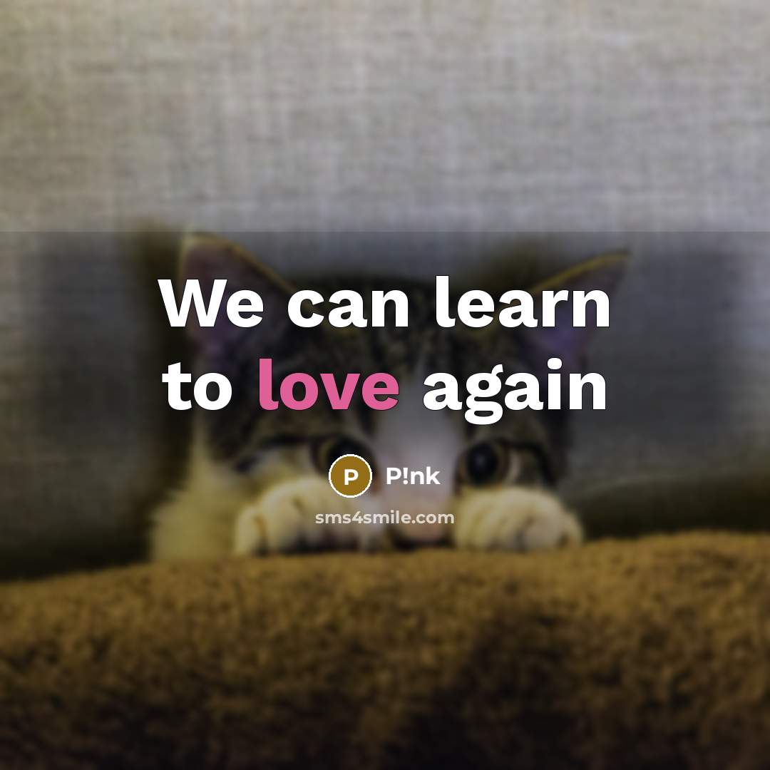 “We can learn to love again…” quote by P!nk