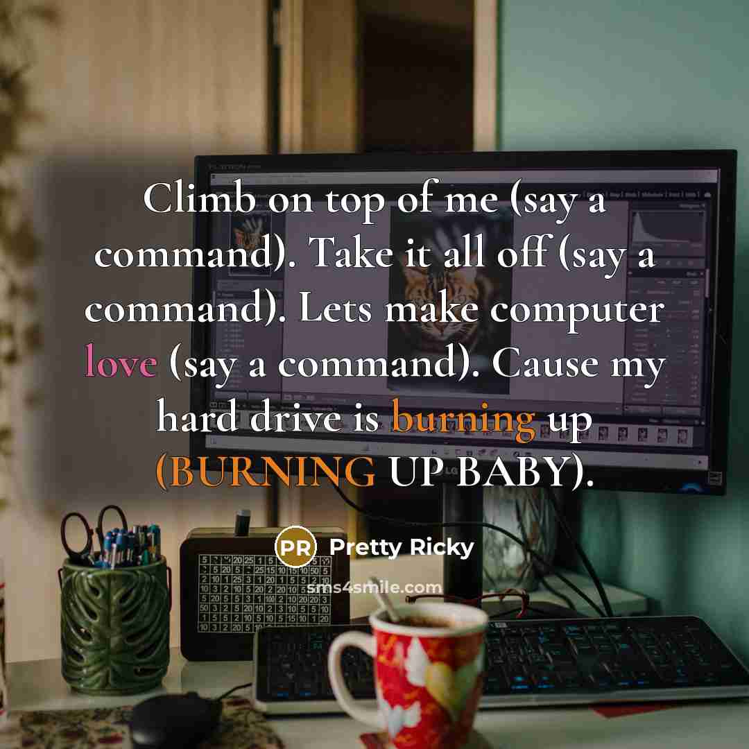 “Climb on top of me (say a command). Take it all off (say a command). Lets make computer love (say a command). Cause my hard drive is burning up (BURNING UP BABY).” quote by Pretty Ricky