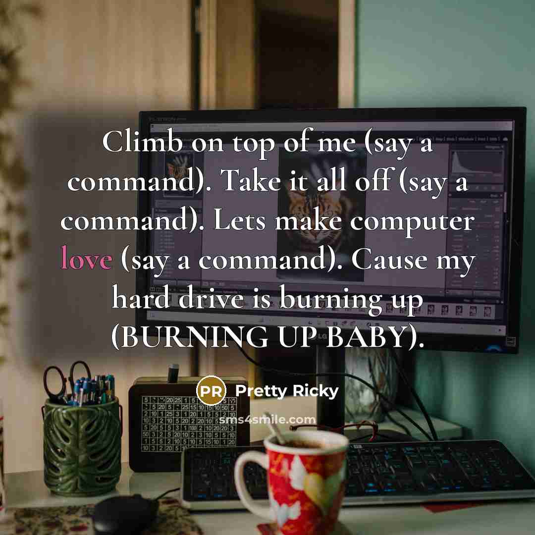 “Climb on top of me (say a command). Take it…” quote by Pretty Ricky
