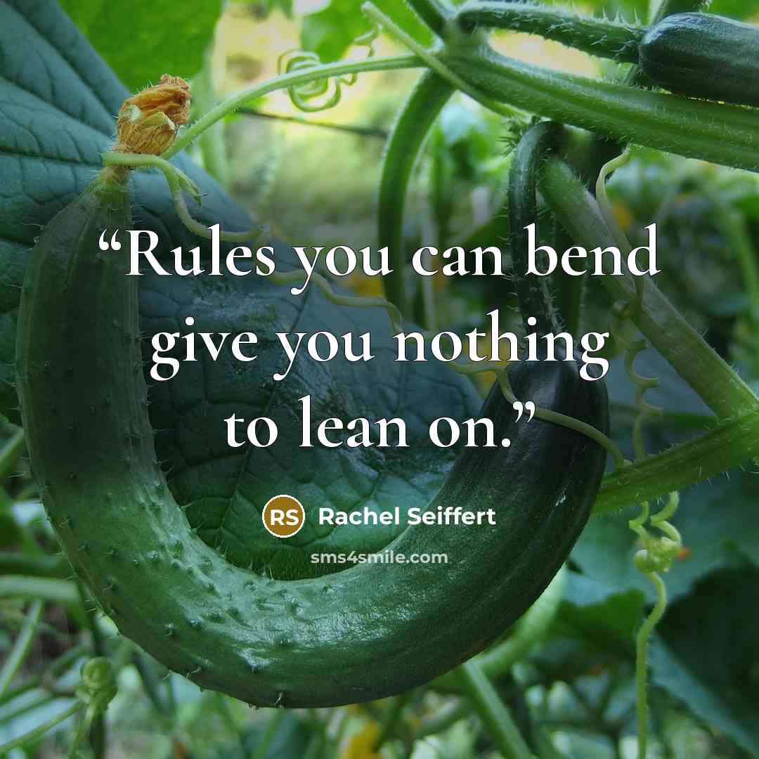 “Rules you can bend give you nothing to lean on.” quote by Rachel Seiffert