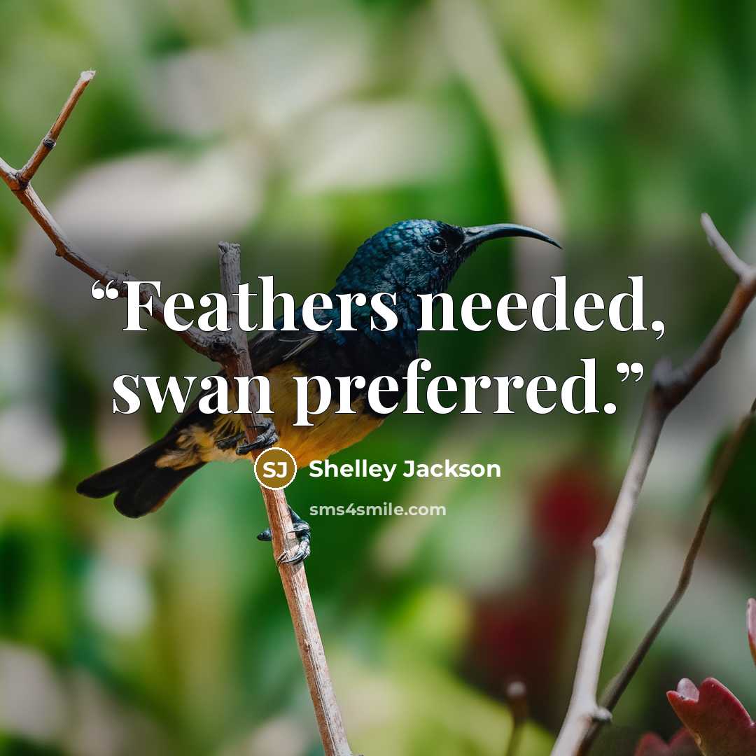 “Feathers needed, swan preferred.” quote by Shelley Jackson