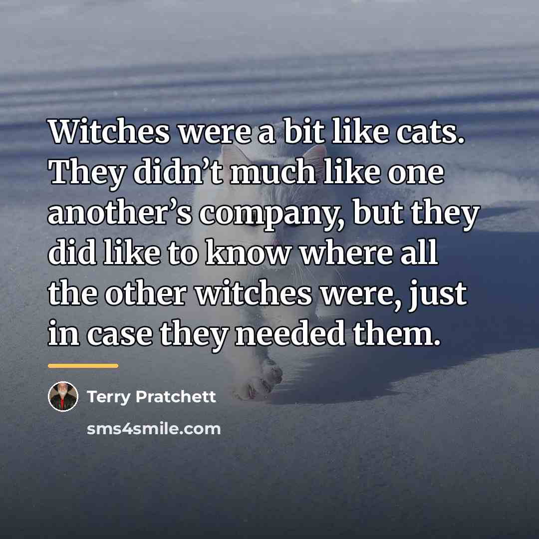“Witches were a bit like cats. They didn’t much like…” quote by Terry Pratchett
