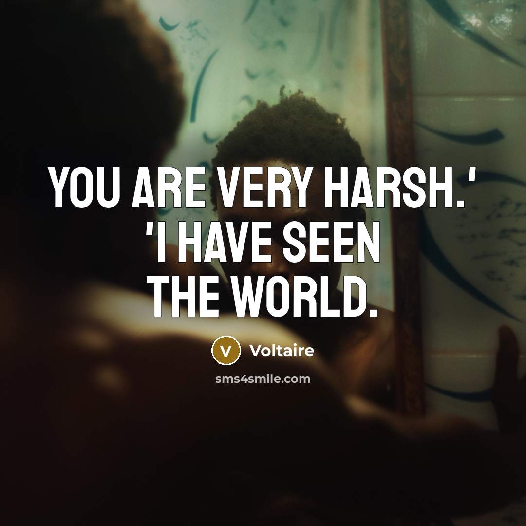 “You are very harsh.' 'I have seen the world.…” quote by Voltaire
