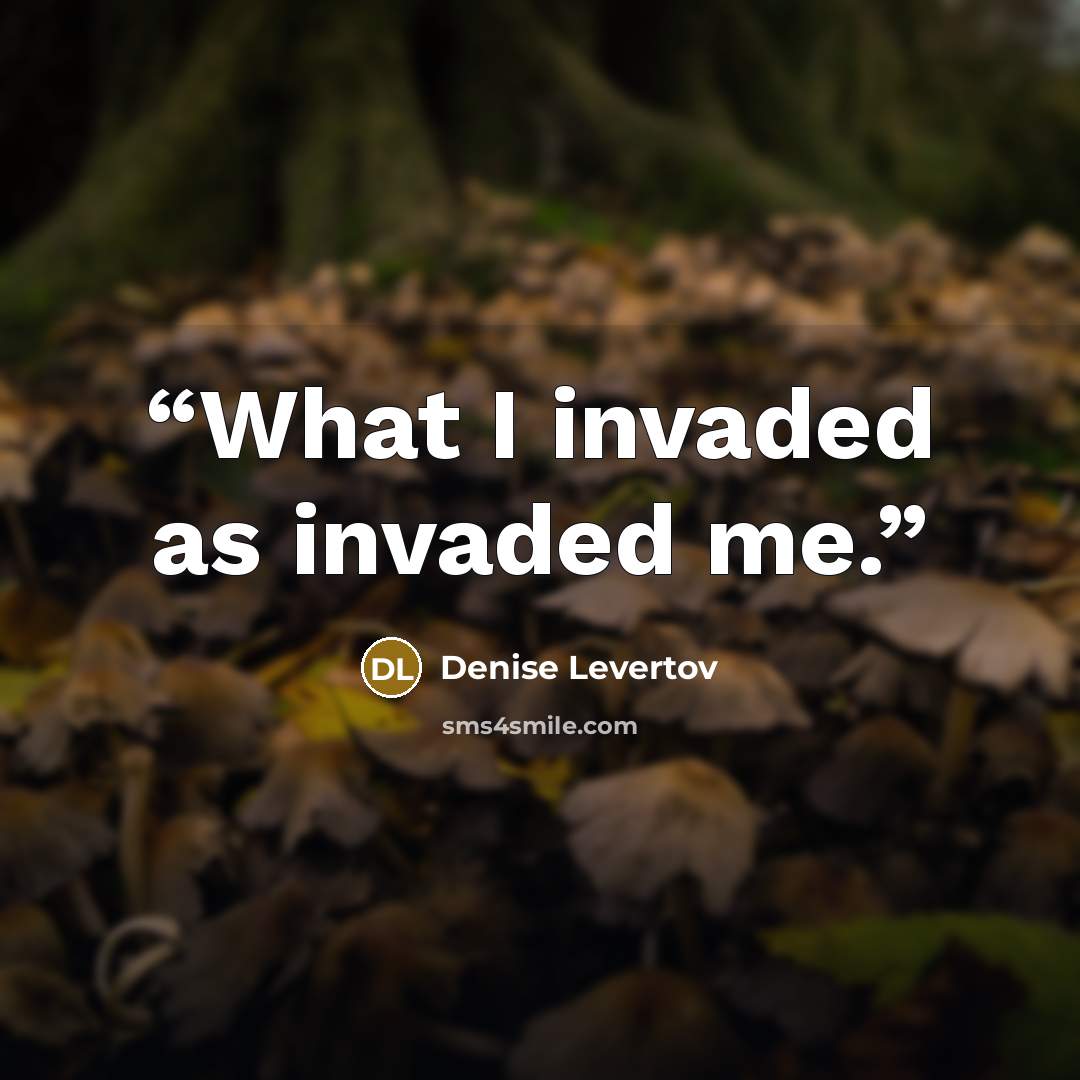 “What I invaded as invaded me.” quote by Denise Levertov