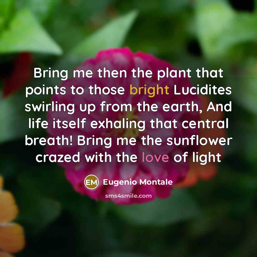 “Bring me then the plant that points to those bright…” quote by Eugenio Montale