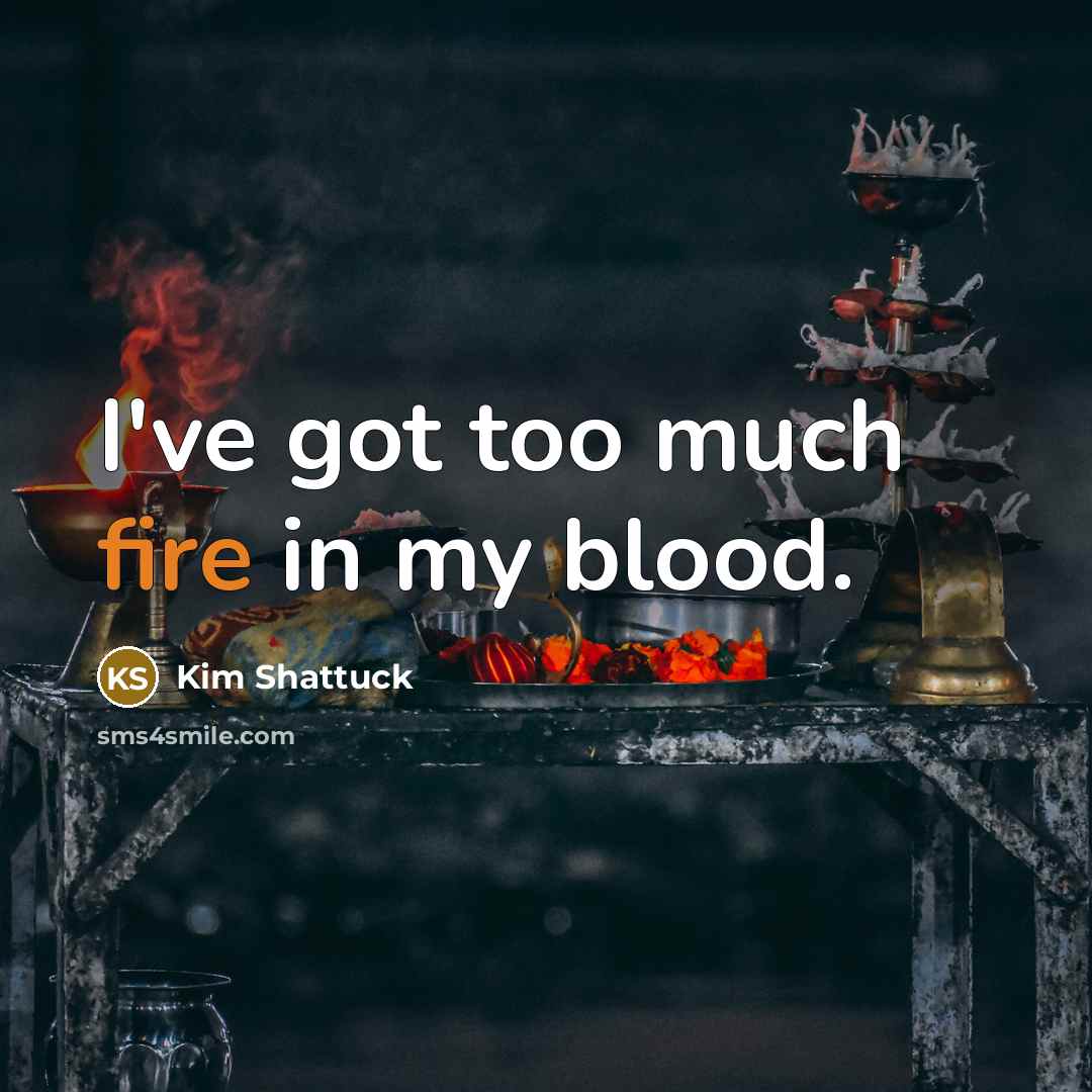 “I've got too much fire in my blood.…” quote by Kim Shattuck