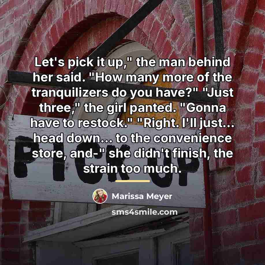 “Let's pick it up," the man behind her said. "How…” quote by Marissa Meyer