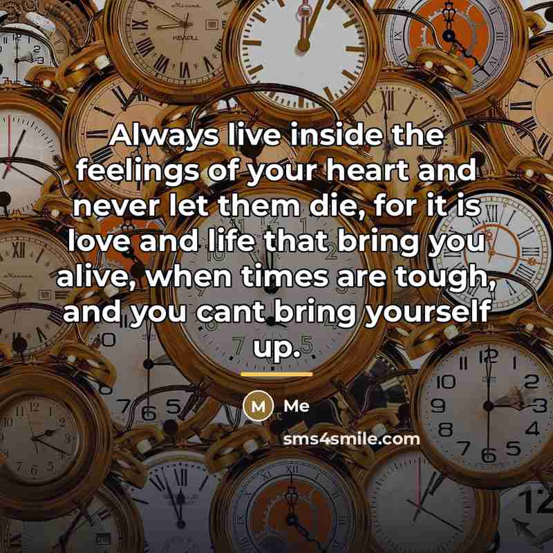 “Always live inside the feelings of your heart and never…” quote by Me
