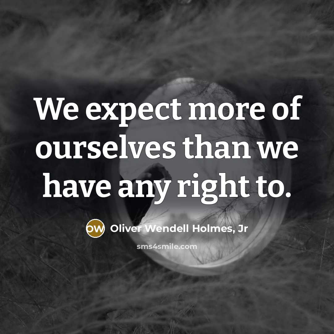 “We expect more of ourselves than we have any right…” quote by Oliver Wendell Holmes, Jr