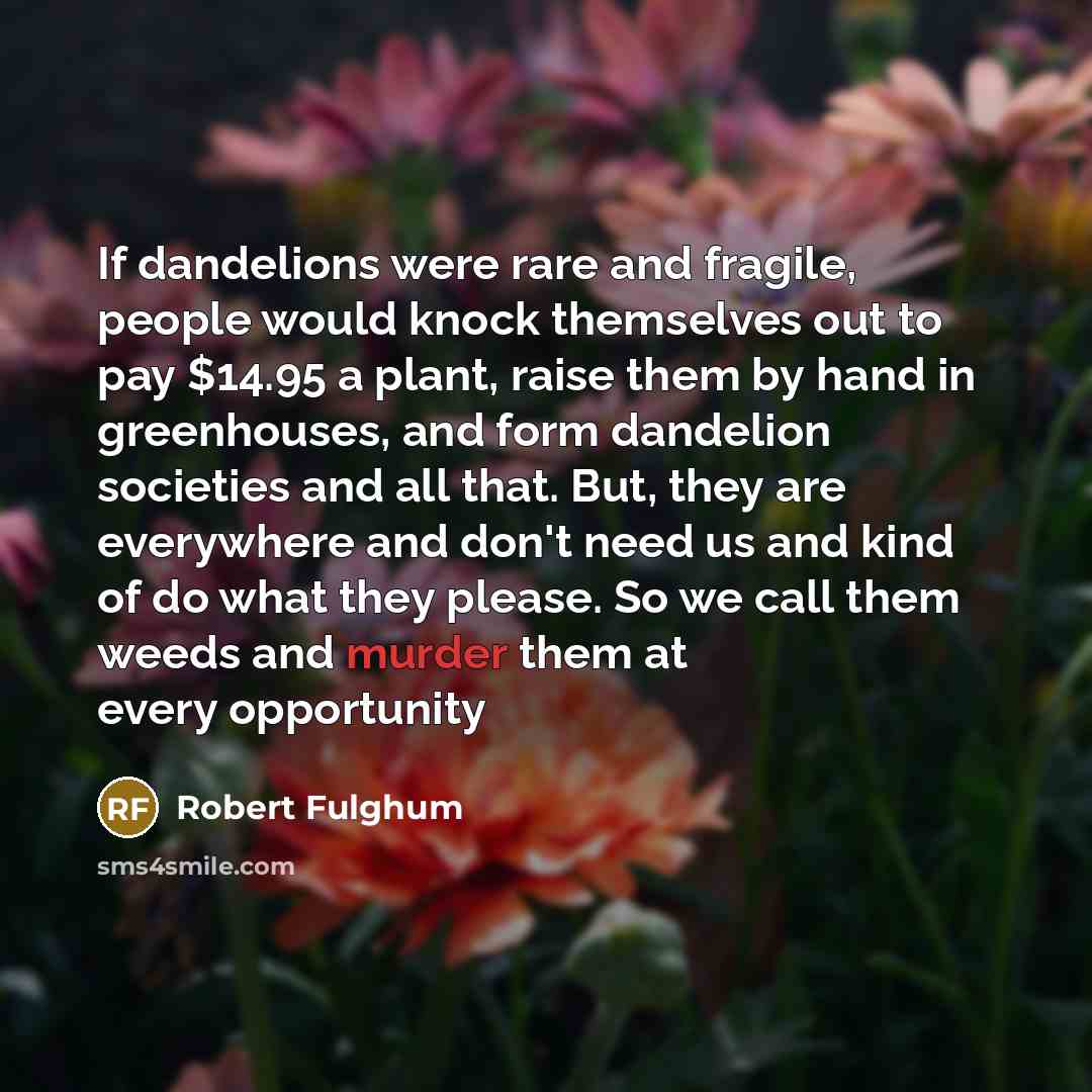 “If dandelions were rare and fragile, people would knock themselves…” quote by Robert Fulghum