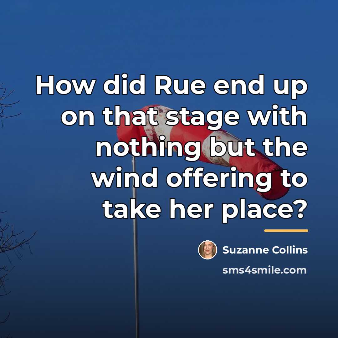 “How did Rue end up on that stage with nothing…” quote by Suzanne Collins