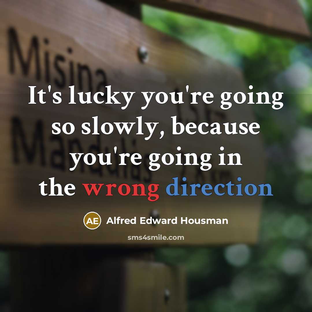 “It's lucky you're going so slowly, because you're going in…” quote by Alfred Edward Housman