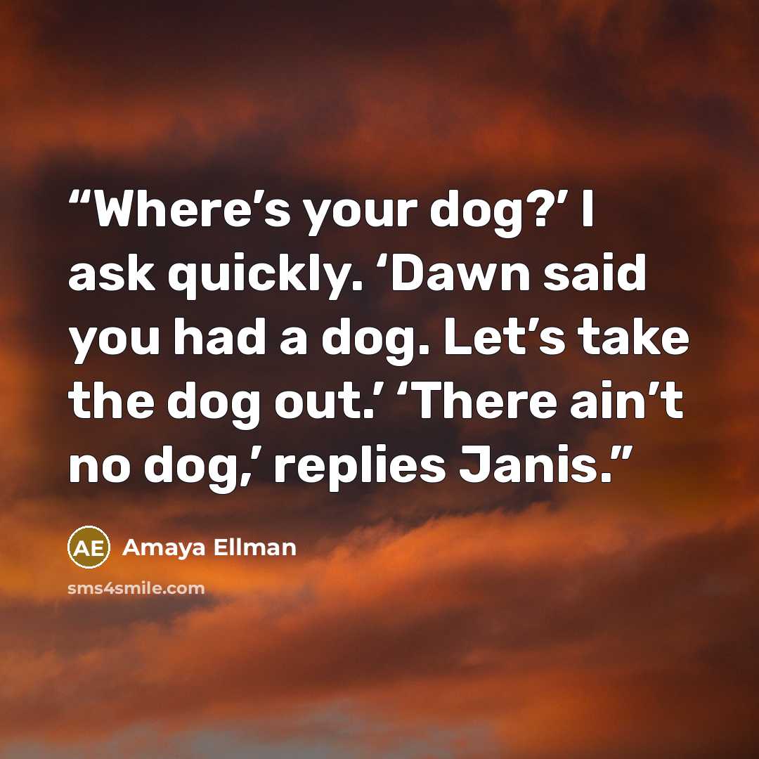 “Where’s your dog?’ I ask quickly. ‘Dawn said you had a dog. Let’s take the dog out.’ ‘There ain’t no dog,’ replies Janis.” quote by Amaya Ellman