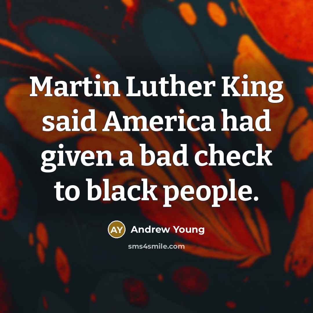 “Martin Luther King said America had given a bad check…” quote by Andrew Young