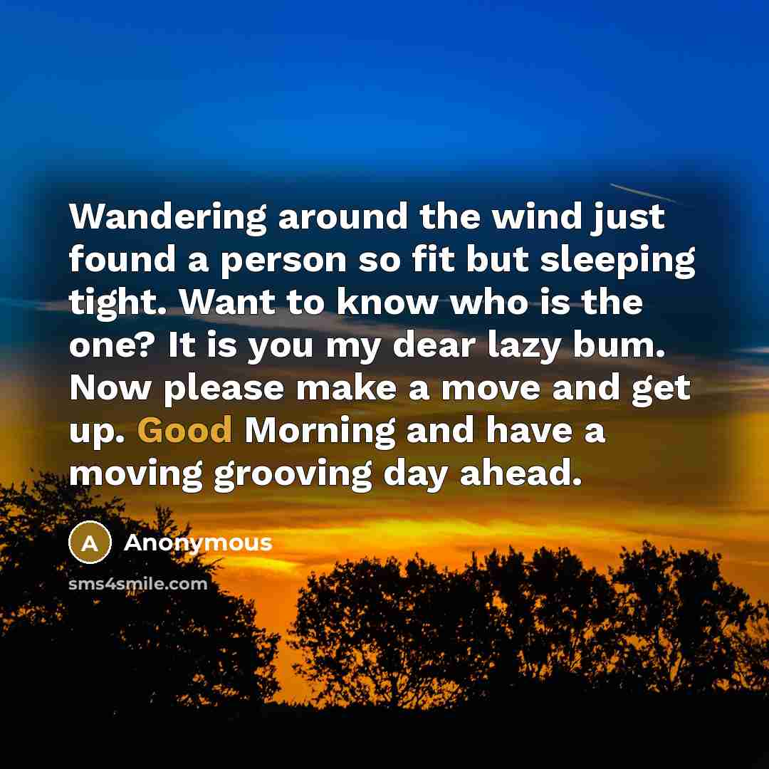 “Wandering around the wind just found a person so fit…” quote by Anonymous