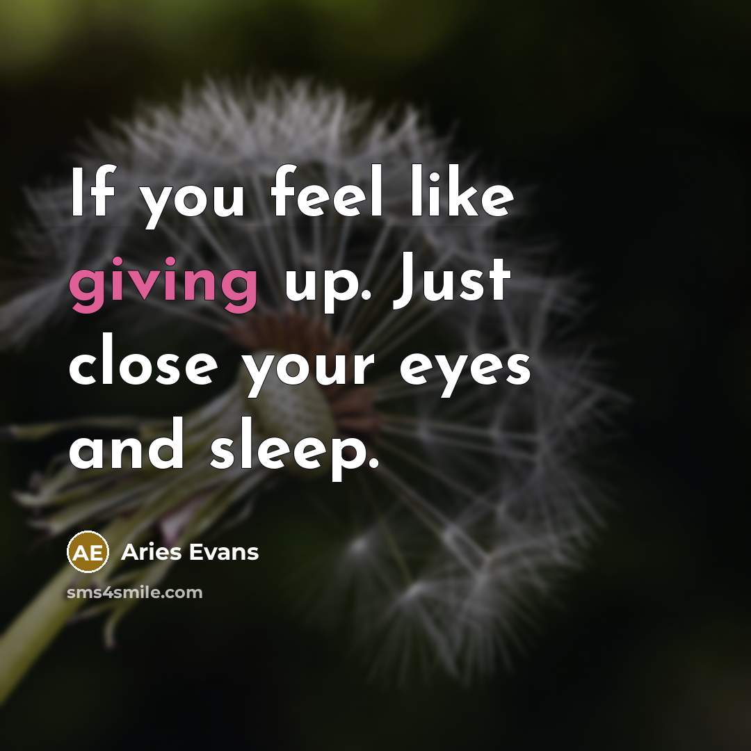 “If you feel like giving up. Just close your eyes…” quote by Aries Evans