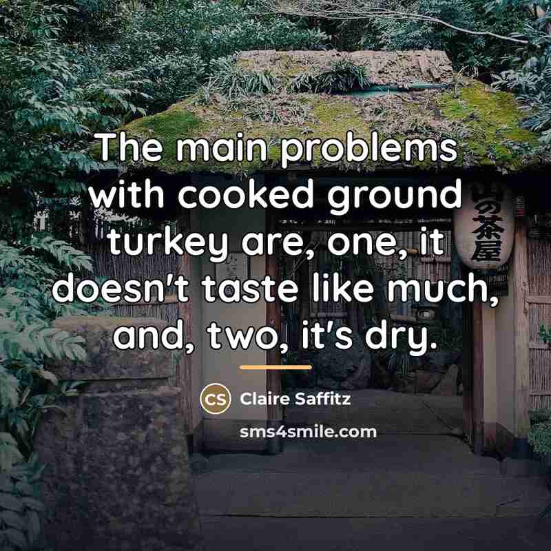 “The main problems with cooked ground turkey are, one, it…” quote by Claire Saffitz