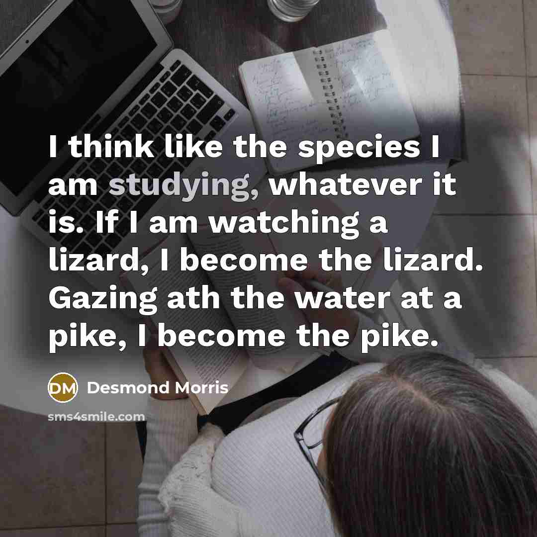 “I think like the species I am studying, whatever it…” quote by Desmond Morris